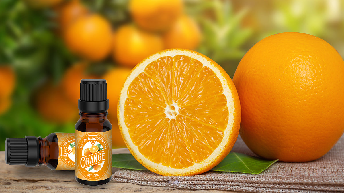 How to Use Orange Essential Oil | Orange Essential Oil Uses - BargzUSA