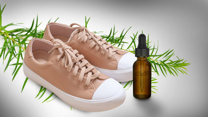 How to Deodorize Shoes Using Tea Tree Oil