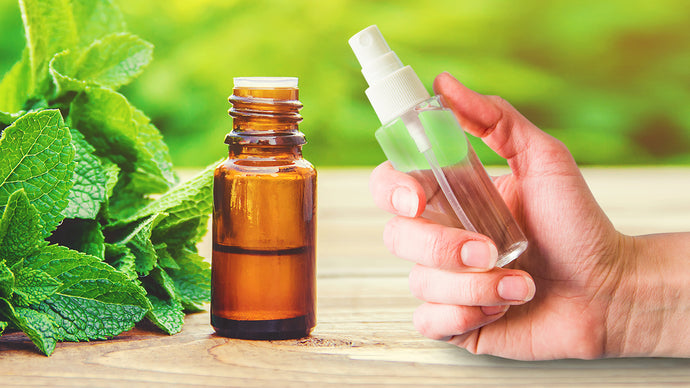 Insects & Essential Oil: Learn How To Make a Bug Spray & Insect Repellent From Peppermint Essential Oil