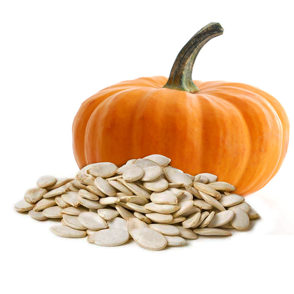 Pumpkin Seed Carrier Oil