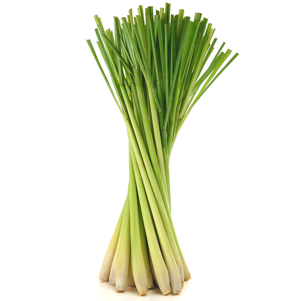 Lemongrass Essential Oil