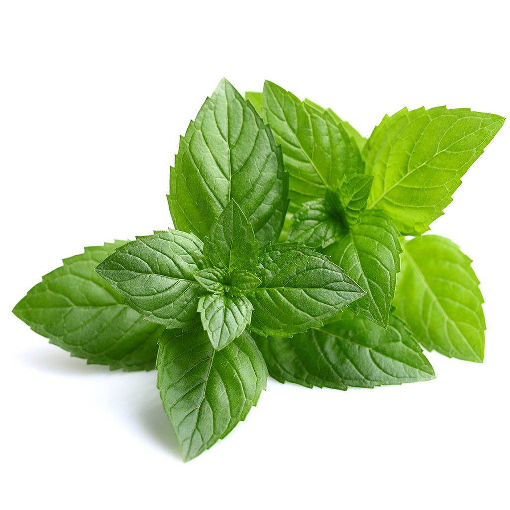 Peppermint Essential Oil